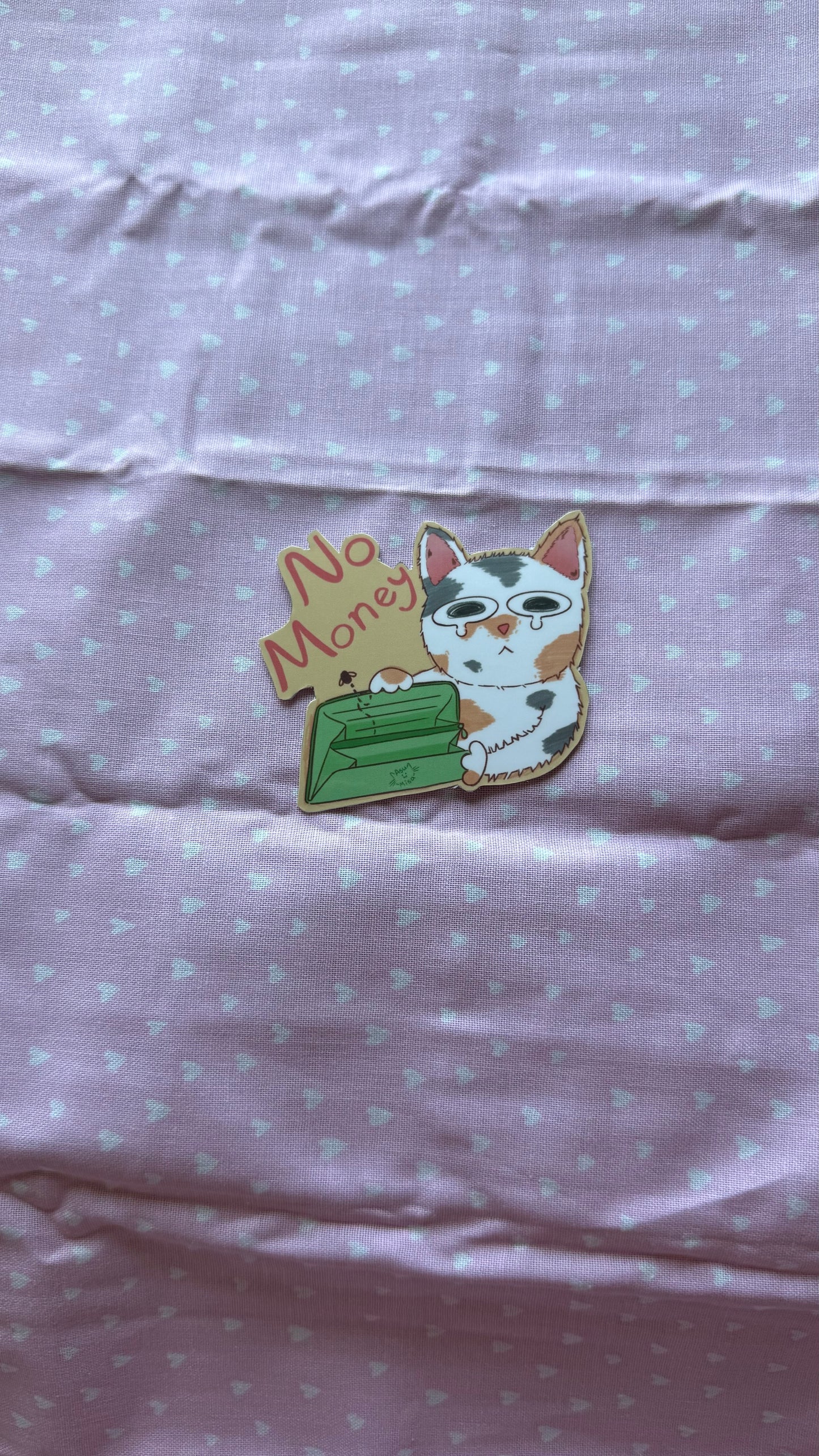 No Money Cat
