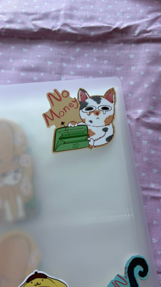 No Money Cat