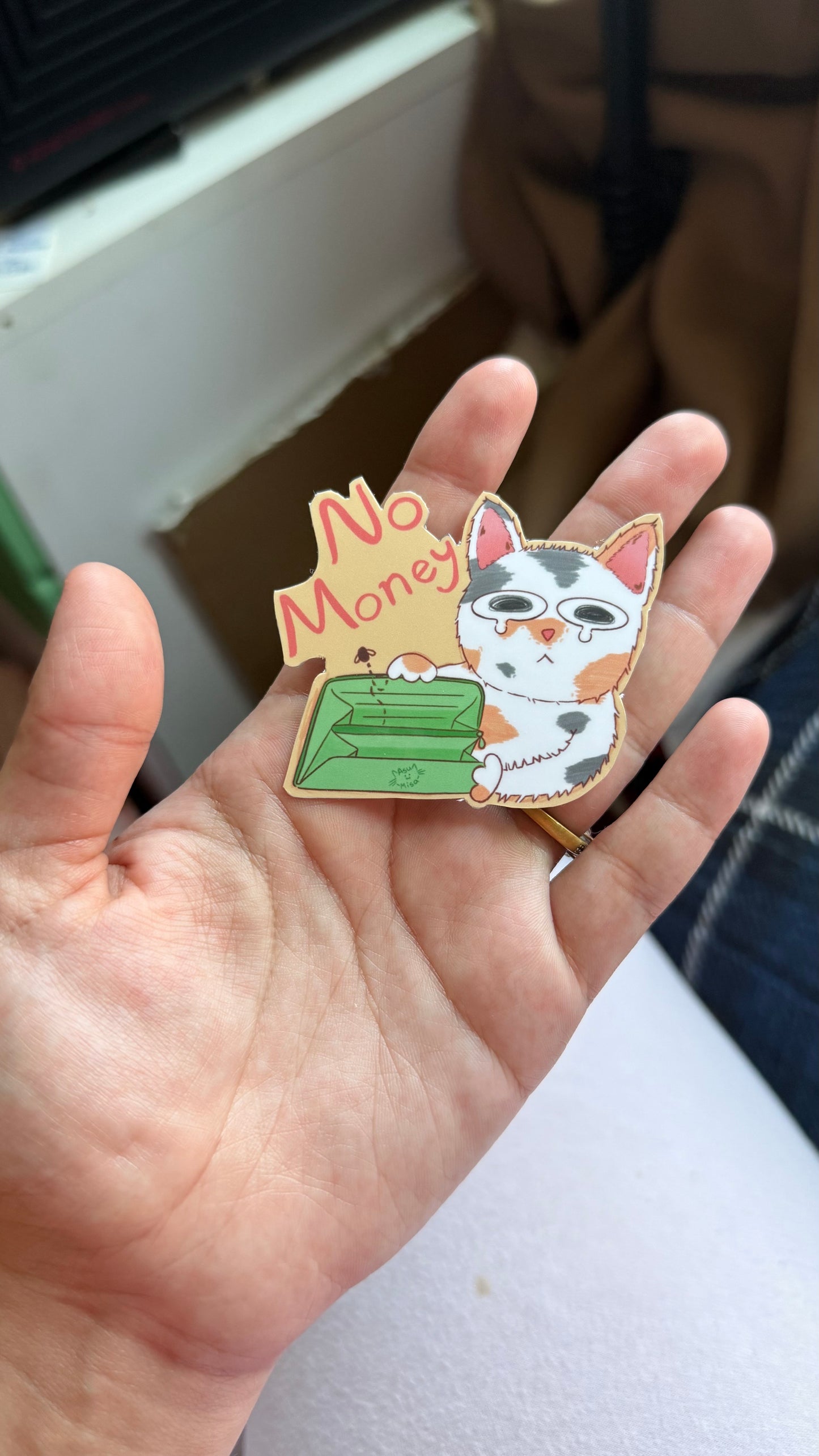 No Money Cat
