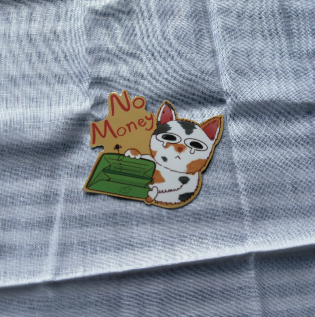 No Money Cat